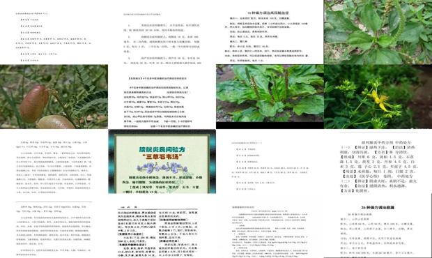 汕头尿路炎症老偏方